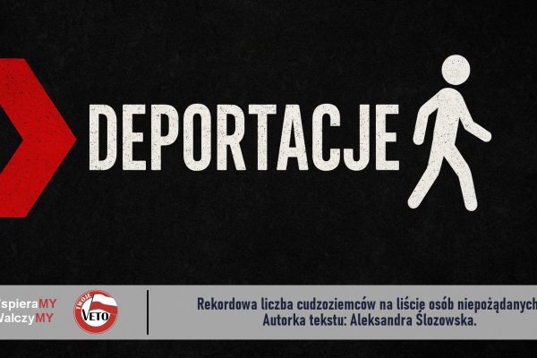 DEPORTACJE! Rekordowa liczba cudzoziemców na liście osób niepożądanych. Rekordowa liczba cudzoziemców na liście osób niepożądanych. Deportacje rosną, ale problem narasta szybciej!
