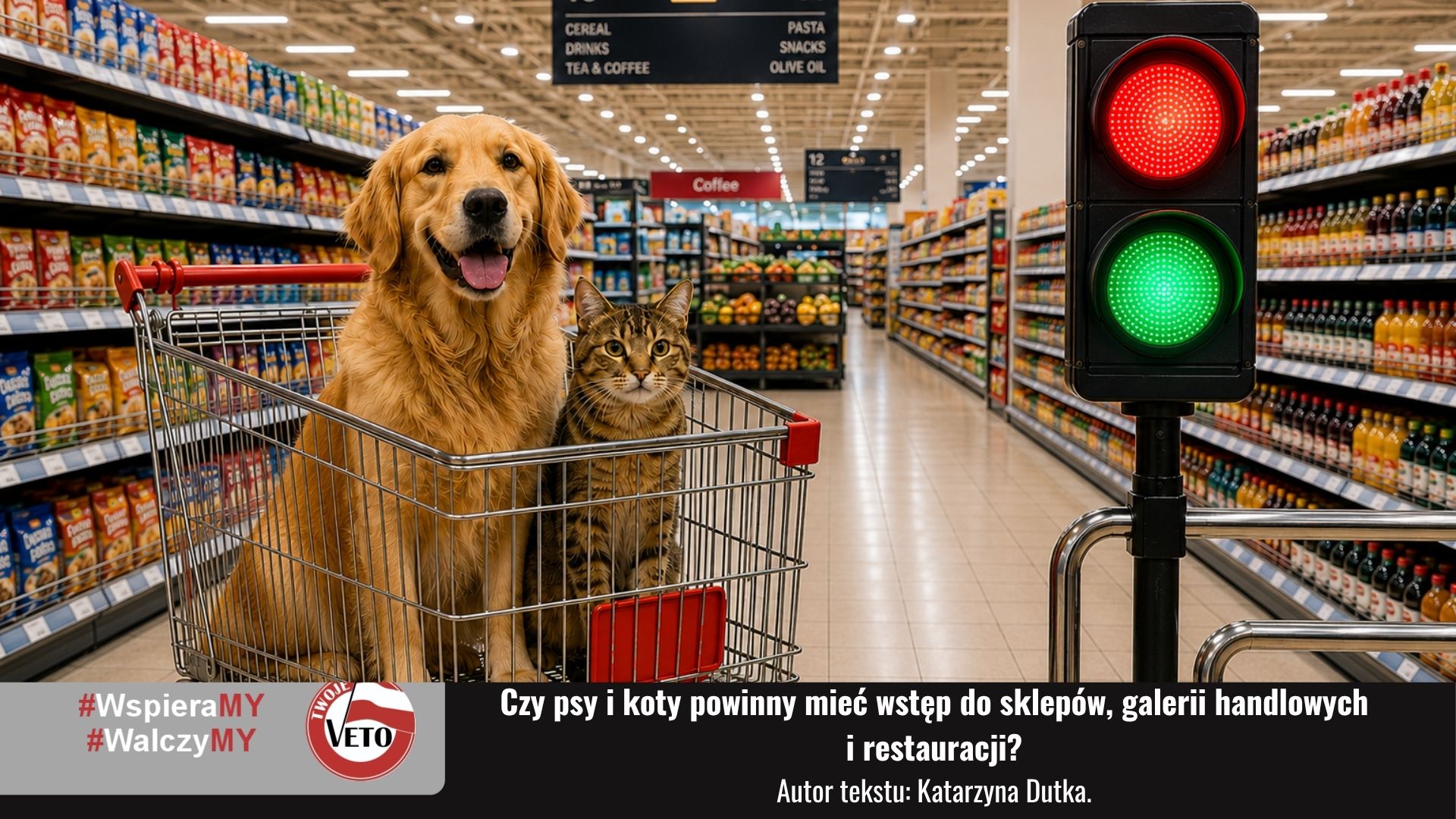 Pies i kot w wózku sklepowym w supermarkecie